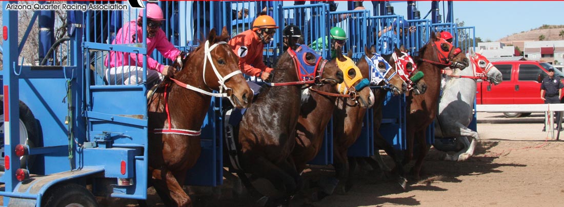 Arizona Quarter Racing Association